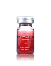 Load image into Gallery viewer, DERMASTIR – H53EGF STERILE 1 BOX (10 X 5 ML) HYALURONIC PEPTIDES SKIN RESURFACING