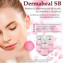 Load image into Gallery viewer, DERMAHEAL SB (SKIN BRIGHTENING) GF ANTI-PIGMENTATION AND SKIN BRIGHTENING (KOREA)