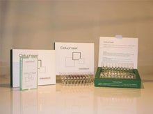 Load image into Gallery viewer, MESOTECH CELLUPHASE (ITALY) SLIM AND BURN
