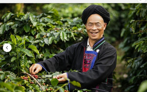 3X Doi Chaang Thailand Coffee Chang Whole Bean Premium Classic Arabica 250 g