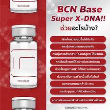 BCN Base : Super X-DNA, Thai FDA, box (5 bottles)