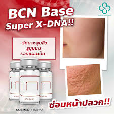 BCN Base : Super X-DNA, Thai FDA, box (5 bottles)