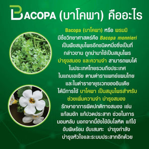 Giffarine Bacopa Brain nourishing Vitamin, herbs enhance memory Food supplements