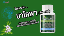 Load image into Gallery viewer, Giffarine Bacopa Brain nourishing Vitamin, herbs enhance memory Food supplements