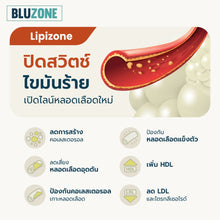 Load image into Gallery viewer, Bluzone Lipizone 30 capsules (reduces cholesterol)