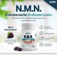 Load image into Gallery viewer, Bluzone NMN + Resveratrol (NMN) 60 capsules