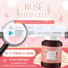 Load image into Gallery viewer, Rose Stem Cell Placenta by Techeewa
