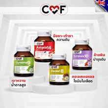 Load image into Gallery viewer, CMF Schinora 10 Complex Liver Supplement by Cee Siwat 💜