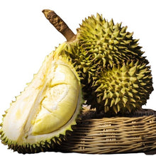 Load image into Gallery viewer, 50X D9 Thai Monthong Durian Paste King Fruit Monthong Healthy Premium Delicious Food 5 Pcs