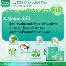 Load image into Gallery viewer, DTX Chlorophyll DETOX Weight Control Fiber Capsule Supplement OZy