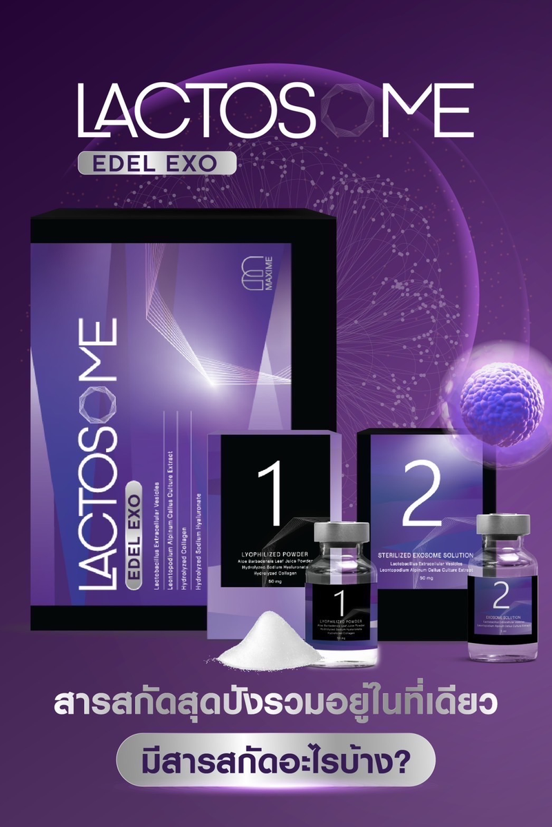 EXOSOME อย By Maxime 1 Box – Quality item shop