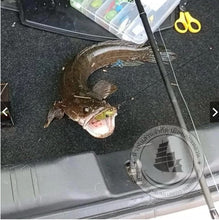 Load image into Gallery viewer, "Superstar Frog" (IMAGE Model) – Artificial lure for snakehead fishing.