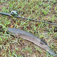 Load image into Gallery viewer, "Superstar Frog" (IMAGE Model) – Artificial lure for snakehead fishing.
