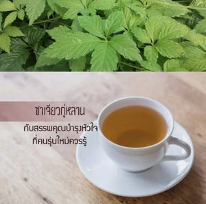 Jiaogulan Tea Herbal Natural 100% Organic Tea Healthy Relief Pains