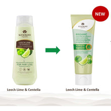 Load image into Gallery viewer, Khaokho Talaypu Shampoo + Conditioner, Kaffir Lime and Centella Asiatica Formula, Helps Reduce Hair Loss (180 ml, 160 ml)