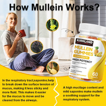 Load image into Gallery viewer, KIRK Mullein Leaf Extract Supplement is a product for lung detoxification
