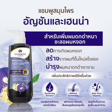 Load image into Gallery viewer, Khaokho Talaypu Organic Butterfly Pea Henna Herbal Shampoo 450 ml. (Shampoo for thicker, fuller hair)