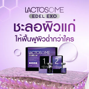 LACTOSOME EDEL EXO Ready to send to the Thai FDA.