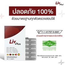 Load image into Gallery viewer, (Livplus) Liver Support, 1 Box of 30 Capsules SEL11-LVPBX30-NF