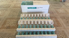 Load image into Gallery viewer, 10X Lucchini Plant Placenta GSH Ampoule serum 2ml Green Box