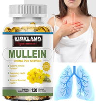 Load image into Gallery viewer, Mullein Leaf Supplement cleanses the lungs and supports the respiratory system