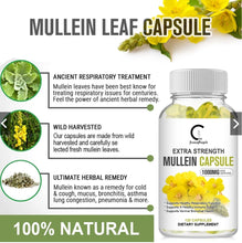Load image into Gallery viewer, Mullein Capsules 1000 mg Extra Strength | Supports respiratory system, immunity