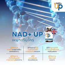 NAD+ Up, reverse aging skin at the DNA level from the UK