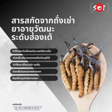 Load image into Gallery viewer, 10 Box Soi (male supplement)