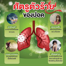 Load image into Gallery viewer, Support your lung health with Swanson Lung Essentials 500mg 120 capsules.
