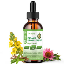 Load image into Gallery viewer, Totaria Mullein 20000 mg Lung Drops. Potent Mullein Leaf for Lung Detox, Airway Cleansing, and Health.