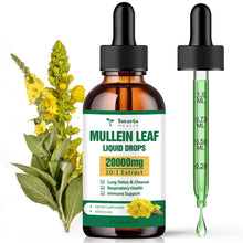 Load image into Gallery viewer, Totaria Mullein 20000 mg Lung Drops. Potent Mullein Leaf for Lung Detox, Airway Cleansing, and Health.