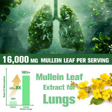 Load image into Gallery viewer, Totaria Mullein 20000 mg Lung Drops. Potent Mullein Leaf for Lung Detox, Airway Cleansing, and Health.