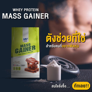 VERTECH NUTRITION Whey Protein Plus Mass Gainer