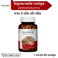 Load image into Gallery viewer, Coptis chinensis Plus Capsules, Phuri Herb Brand (Brand Owner's Shop)