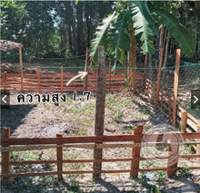 Load image into Gallery viewer, Chicken enclosure netting; netting to keep out birds, snakes, cats, or other animals.