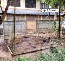 Load image into Gallery viewer, Chicken enclosure netting; netting to keep out birds, snakes, cats, or other animals.