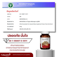 Load image into Gallery viewer, Coptis chinensis Plus Capsules, Phuri Herb Brand (Brand Owner's Shop)
