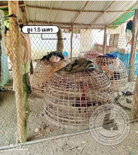 Load image into Gallery viewer, Chicken enclosure netting; netting to keep out birds, snakes, cats, or other animals.