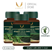 Load image into Gallery viewer, Livnest Spirulina "Livnest Algae" Cordy Plus Multi B (30 capsules per box)