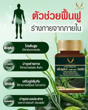 Load image into Gallery viewer, Livnest Spirulina "Livnest Algae" Cordy Plus Multi B (30 capsules per box)