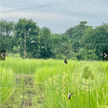 Load image into Gallery viewer, [Single Brand] Bird-catching net / Bird trap net