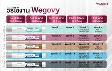 Load image into Gallery viewer, Wegovy weight loss pen from Denmark: feel full, manage weight long-term.