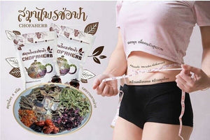 CHOFAHERB Thai Herbs Diet Slimming Detox Fat Burn Lower Cholesterol Bright Skin 12 ญแห.