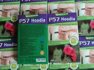 10X Hoodia P57 Herbal Cactus Extract Weight Fat Burn Diet Slimming Strong 10 Box