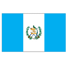 Load image into Gallery viewer, National Flag America Emblem Iron Patch Embroidery Backpack Country All World