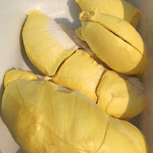 Load image into Gallery viewer, 10x Monthong Durian Paste Thai Snack Food Delicious durian tastedurian food 100g