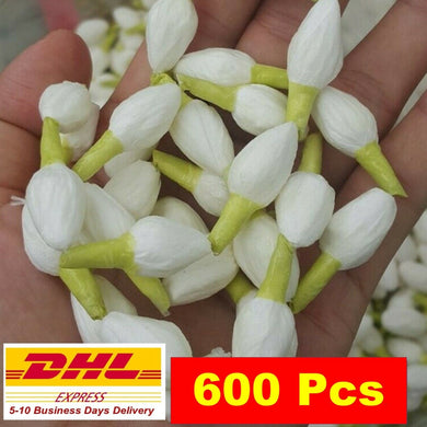 600 x Thai Jasmine Tissue Paper Flower Handcrafts Artificial Home Arts DIY