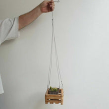 Load image into Gallery viewer, 20 x Hanger orchid wire plants hanging ornamental garden tree flower 4 leg DHL