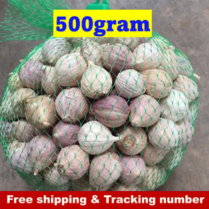 Big Elephant Garlic Bulb Single Cooking Food Thai Herbal Plant Herb 500g