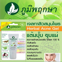 Load image into Gallery viewer, POOMPUKSA Anti Acne Thai Herbal Gel Smoothen Skin Healing 15g